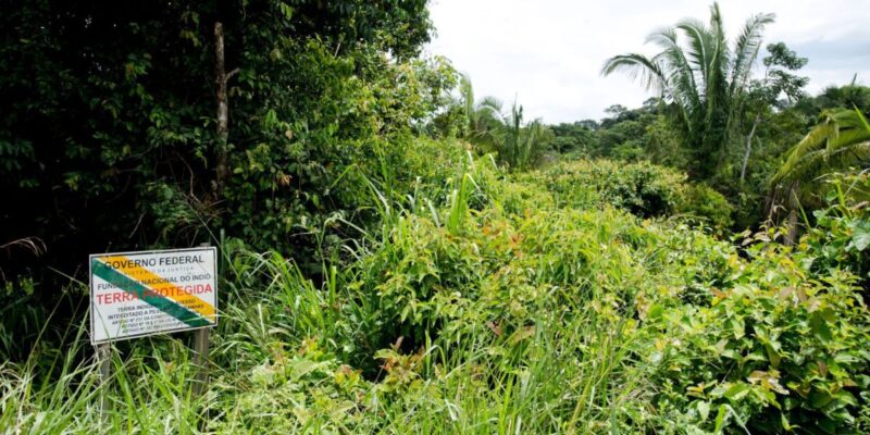 BNDES avalia concessão ambiental com pagamento para conservação