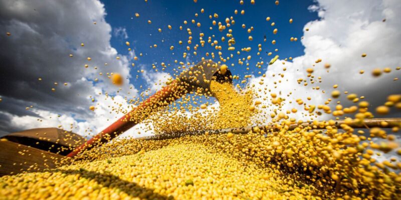 Agronegócio prevê alta dos custos de produção no próximo ano