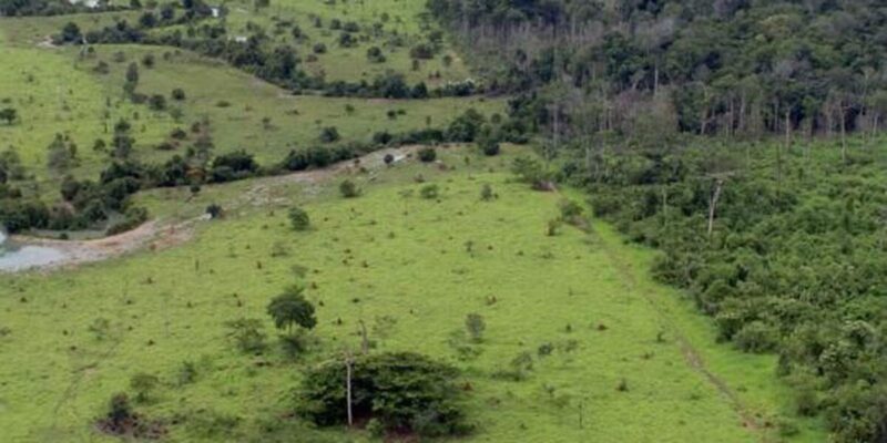 BB aceitará crédito de carbono em leilão de imóveis rurais