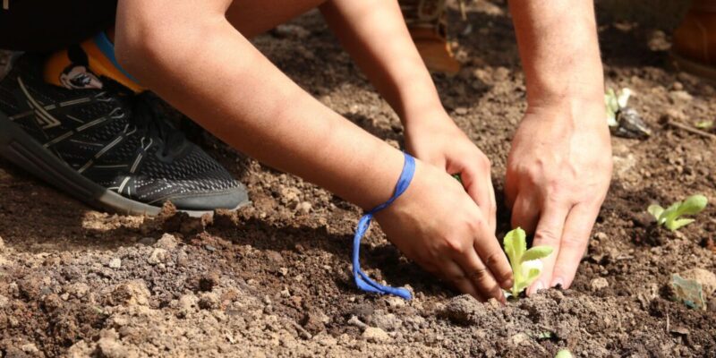 Prefeitura de SP abre vagas para mães de alunos da rede municipal