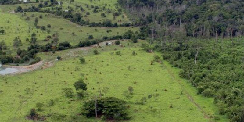 Termina nesta sexta entrega da Declaração do Imposto Territorial Rural