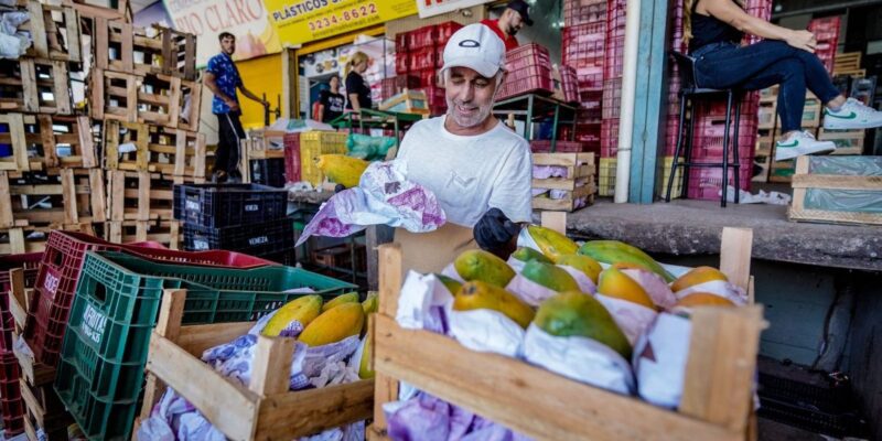 Conab registra queda de preços da alface em dezembro