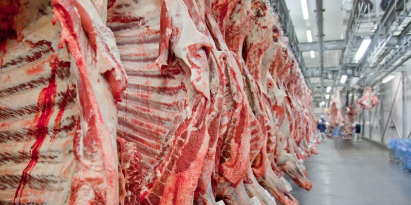 Exportação de carne bovina bate recorde em mês anterior ao tarifaço