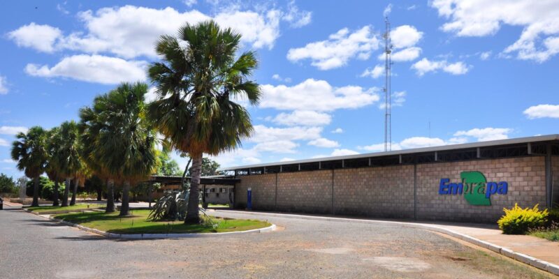 Aplicativo gratuito da Embrapa ajuda a planejar barragens no semiárido