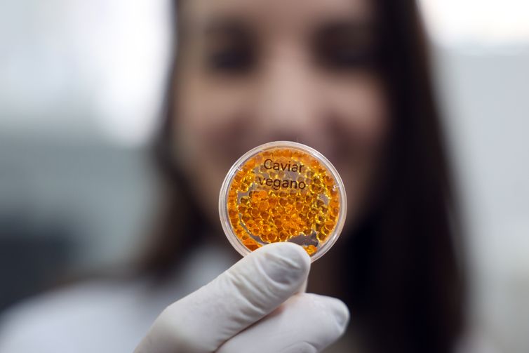 Valter Campanato/Agência Brasil Brasília (DF), 26/05/2026 - O laboratório de nanotecnologia da Embrapa produz em caráter experimental substitutos veganos de carne vermelha, salmão e lula por meio de uma impressora carregada de massa feita do extrato de sementes. Foto: Valter Campanato/Agência Brasil